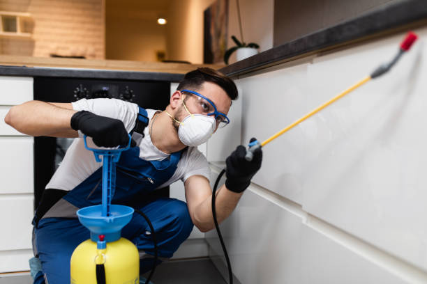 Best Pest Control Near Me in Baldwin, FL