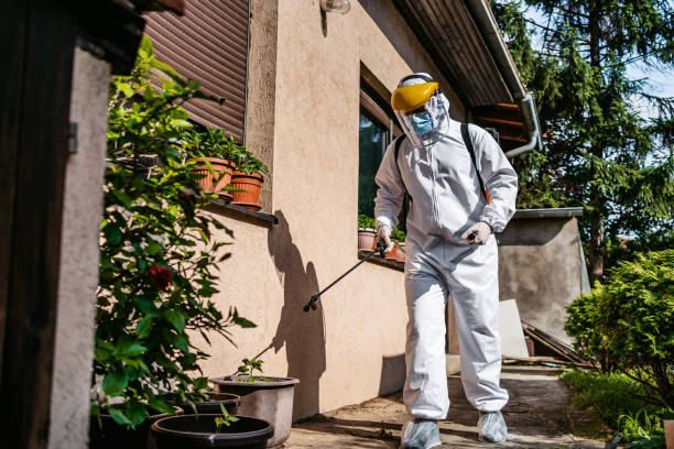 Reliable Baldwin, FL Pest Control Solutions