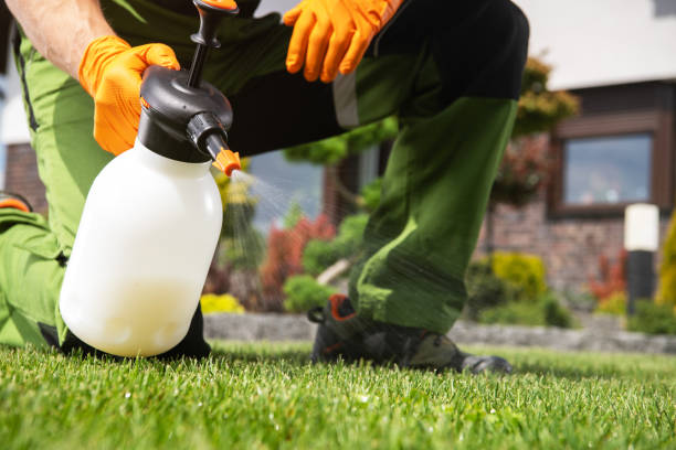 Best Rat Extermination Near Me  in Baldwin, FL