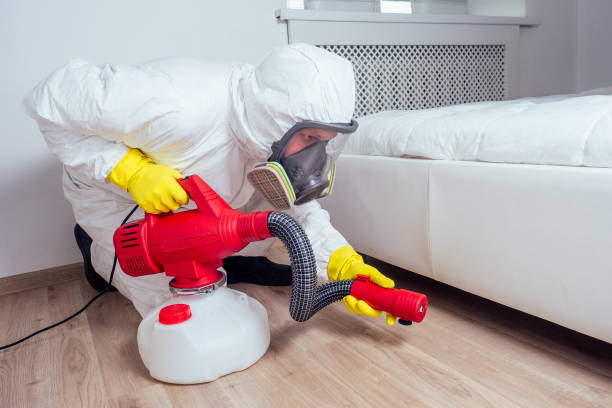 Best Bed Bug Extermination  in Baldwin, FL