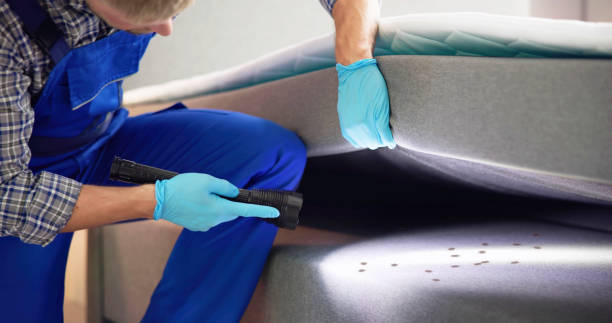 Best Pest Removal Services  in Baldwin, FL