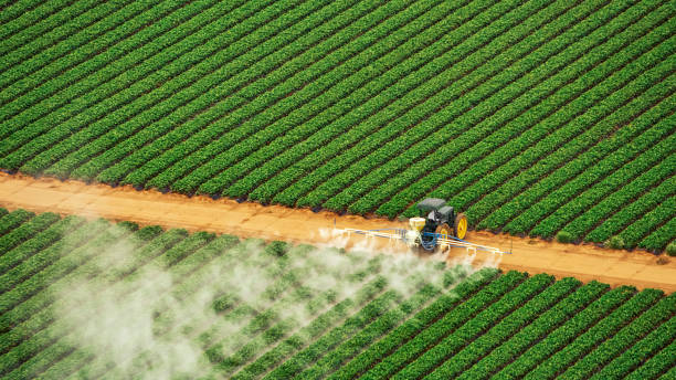 Best Ant Control Services  in Baldwin, FL
