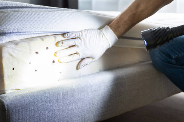 Best Exterminator Services  in Baldwin, FL