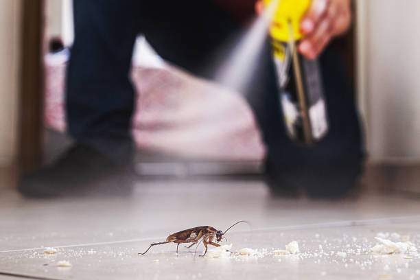 Best Wasp Removal Services  in Baldwin, FL