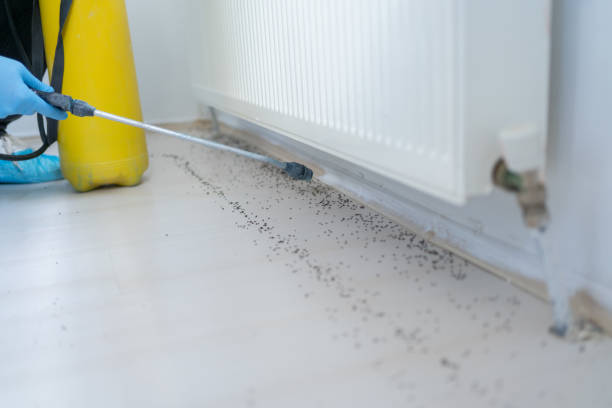 Best Pest Control Near Me  in Baldwin, FL