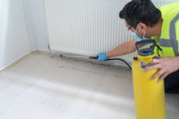 Best Local Pest Control Services  in Baldwin, FL